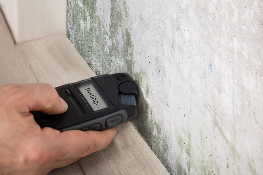 Person's Hand Measuring The Wetness Off A Moldy Wall